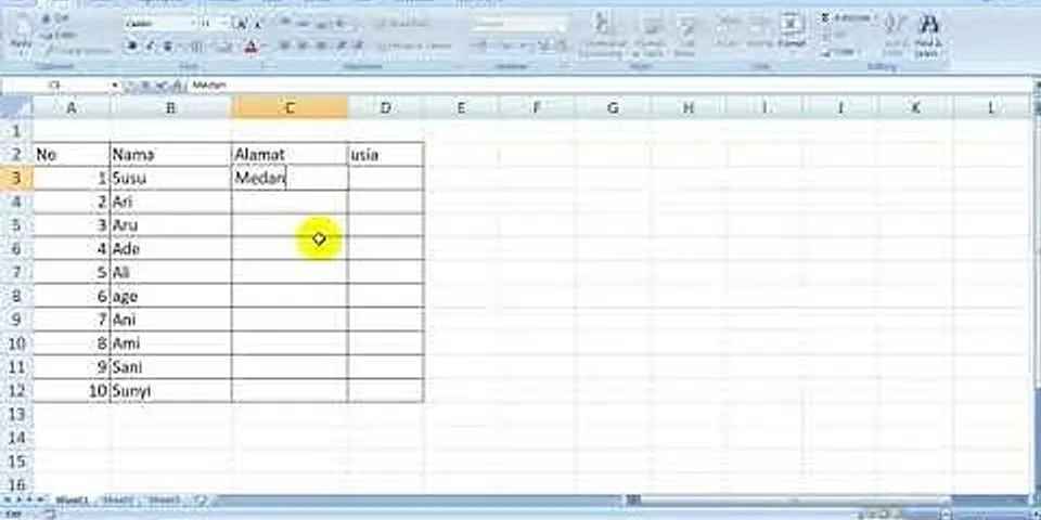 Apa nama lembar kerja dari program aplikasi Microsoft Excel