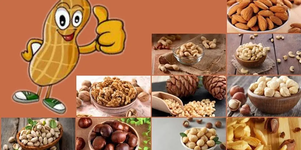 Apa saja makanan yang terbuat dari kacang kacangan?