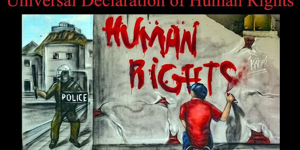 Apa yang melatarbelakangi lahirnya Declaration of Human Right