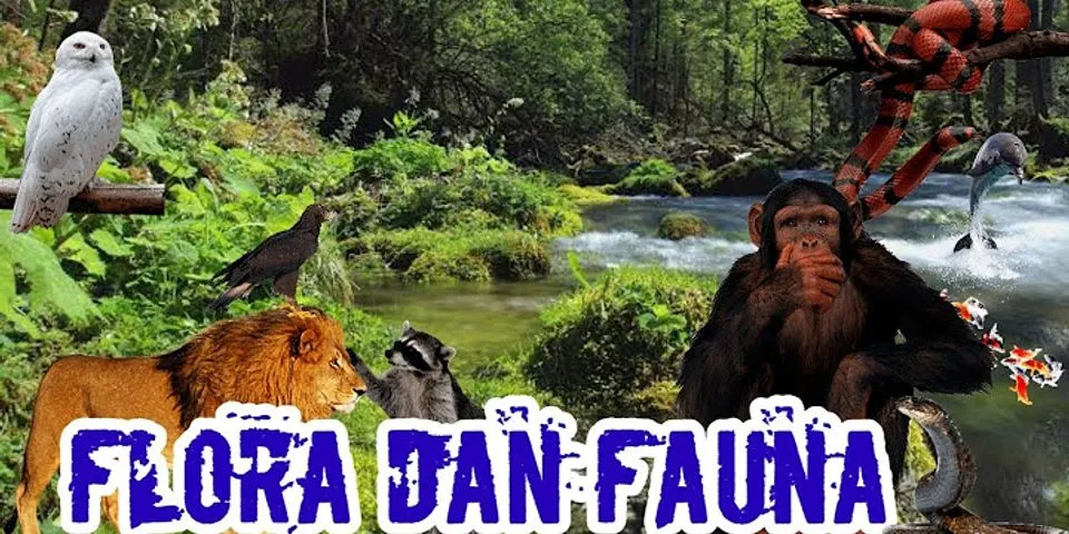 Fauna yang terdapat di Indonesia memiliki kemiripan dengan fauna