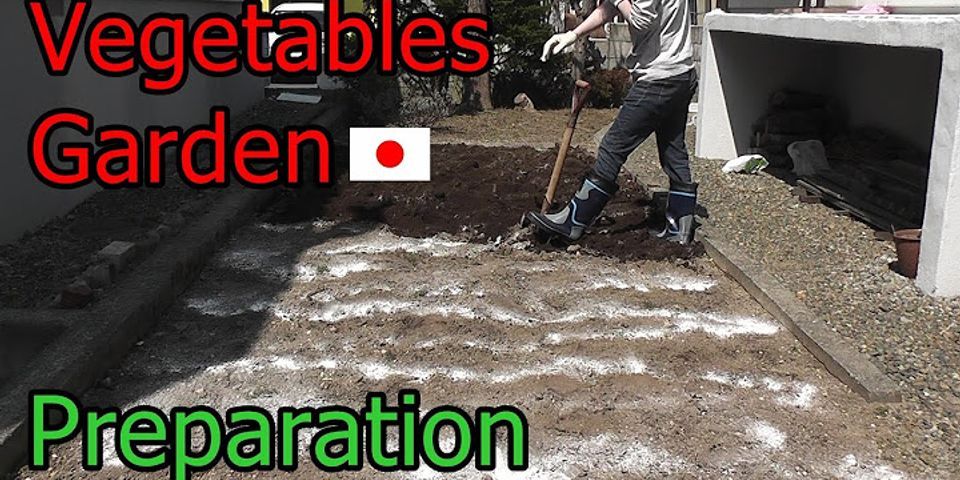 Japanese vegetables to grow