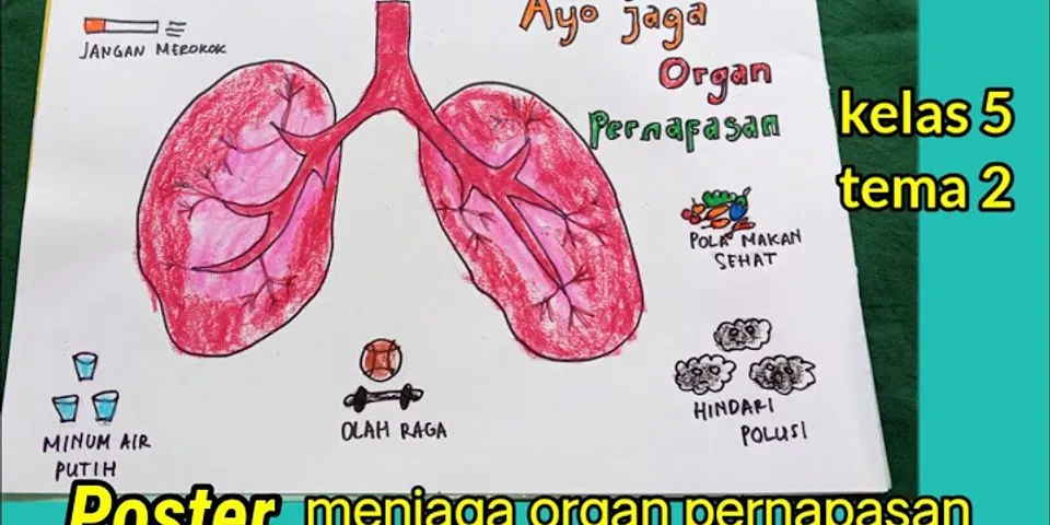 Poster Merawat Organ Pernapasan Kelas 5