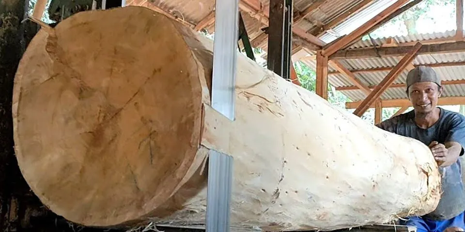 Sebutkan 5 jenis kayu yang dapat digunakan untuk kerajinan